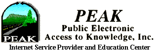 PEAK Inc. Helping You Scale New Heights in Internet Services